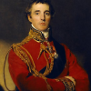 portrait of the Duke of Wellington