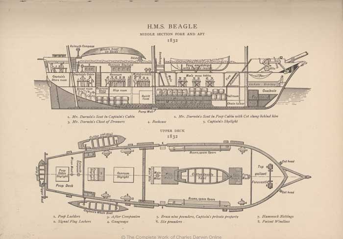 Diagram of the Beagle