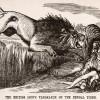 Punch cartoon, British Lion