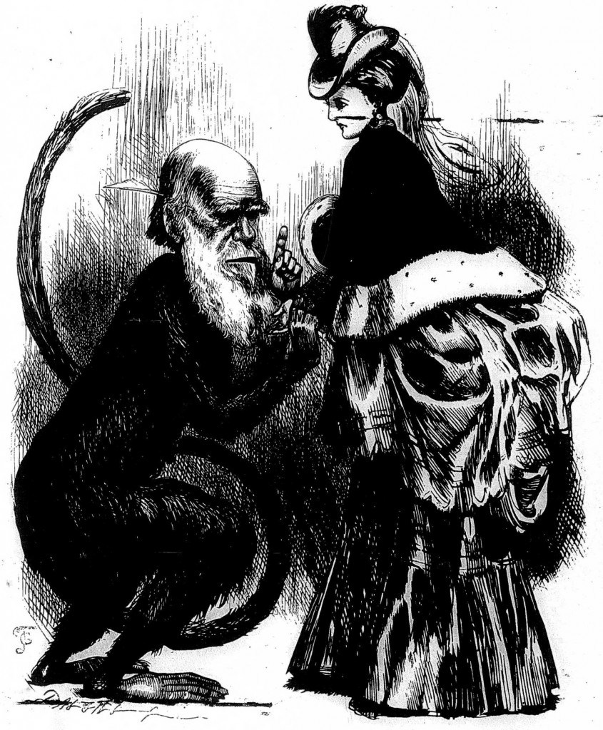 caricature of Darwin