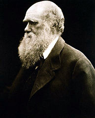 Charles Darwin The Descent Of Man Essay