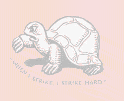 Fabian_tortoise Fabian tortoise