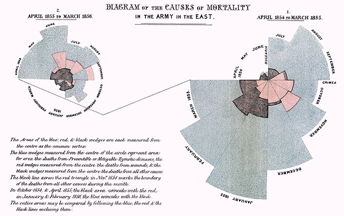 Nightingale graph