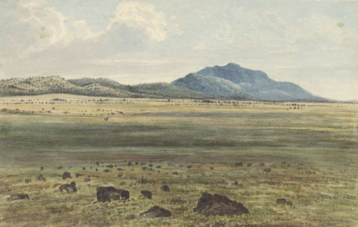 View from Waterloo Plains looking towards Challicum, Victoria