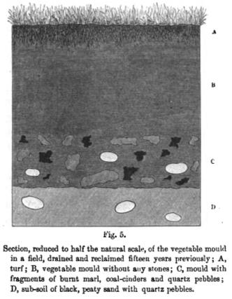 Cross-section illustration by Darwin of layers of the earth