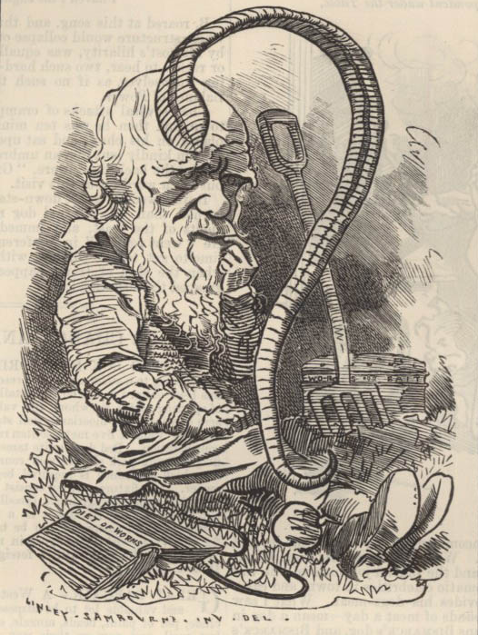 Caricature of Charles Darwin from _Punch_ magazine