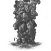 illustration of eath cast up by worms from Charles Darwin's book _Worms_