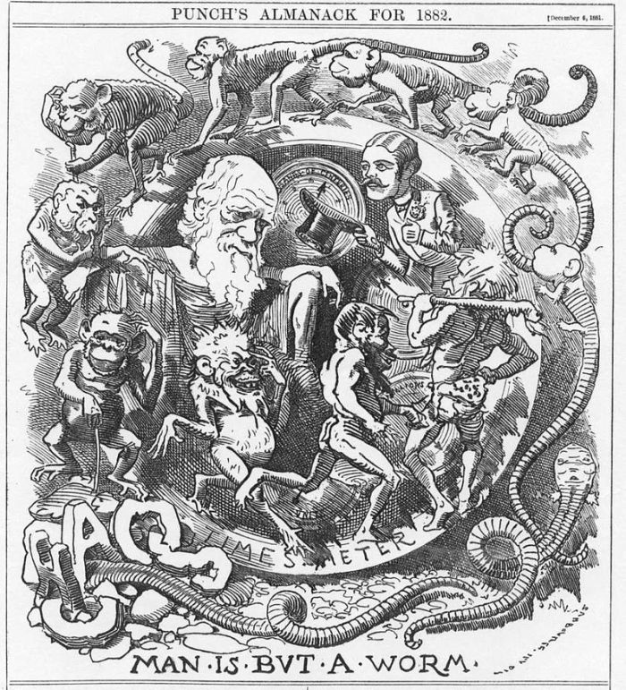 Punch magazine image caricaturing Darwin's evolutionary theories