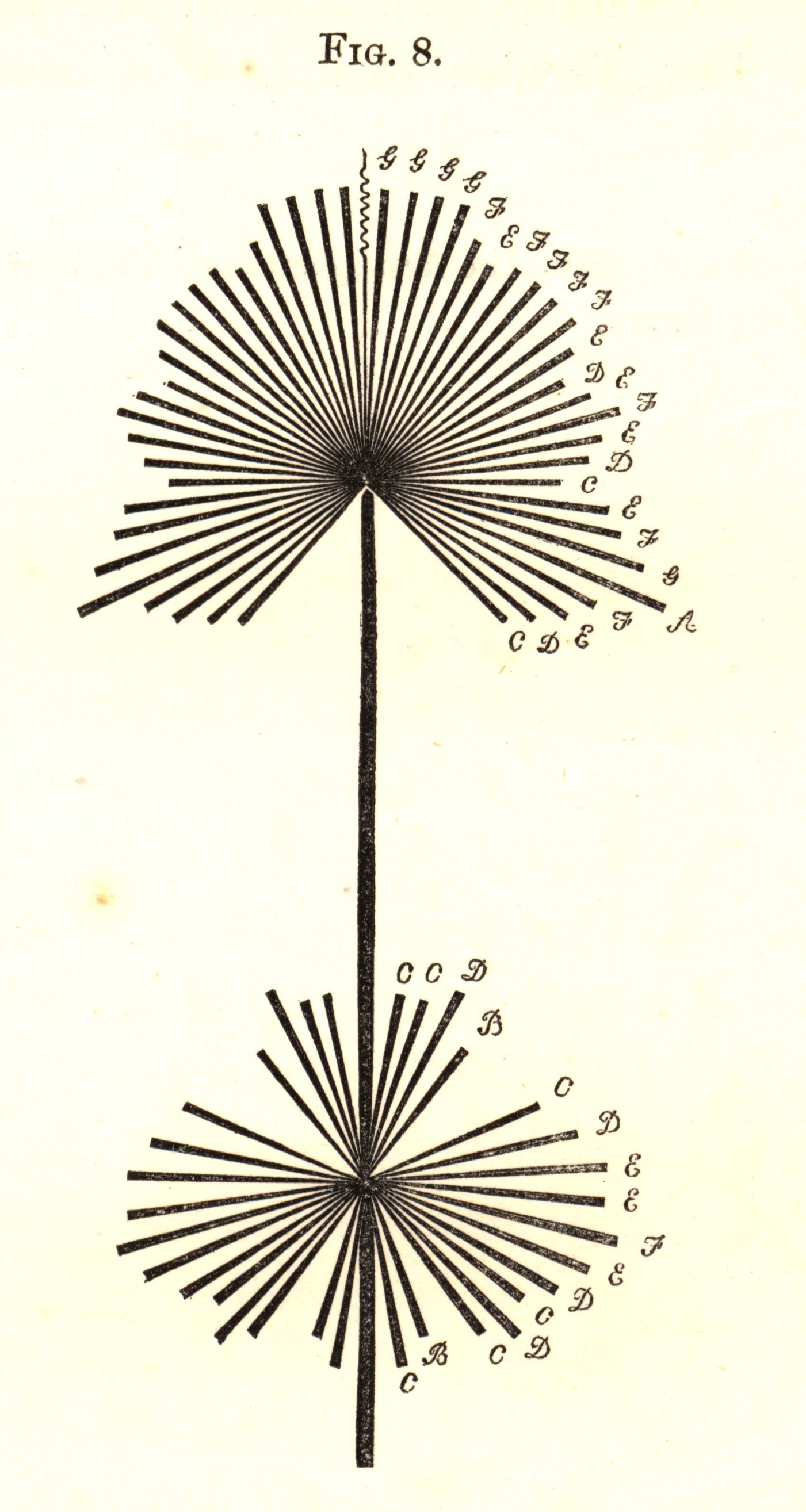 Figure 3. Dresser, motif “translating” “God Save the Queen” into visual form. Dresser specifies that “For the sake of effect, the first portion of the tune occurs in the lower half of the figure” (48). From _The Art of Decorative Design_. Courtesy of the Department of Special Collections, Stanford University Libraries.