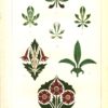 Figure 6. Ornamental motifs that evoke the “mental conception” of a leaf-bud. Plate II from Dresser, _The Art of Decorative Design_ (1862). Courtesy of the Department of Special Collections, Stanford University Libraries.
